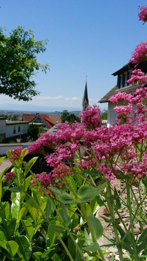 Casa Asensio Ebringen